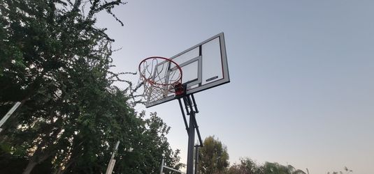 Lifetime Portable Basketball Hoop