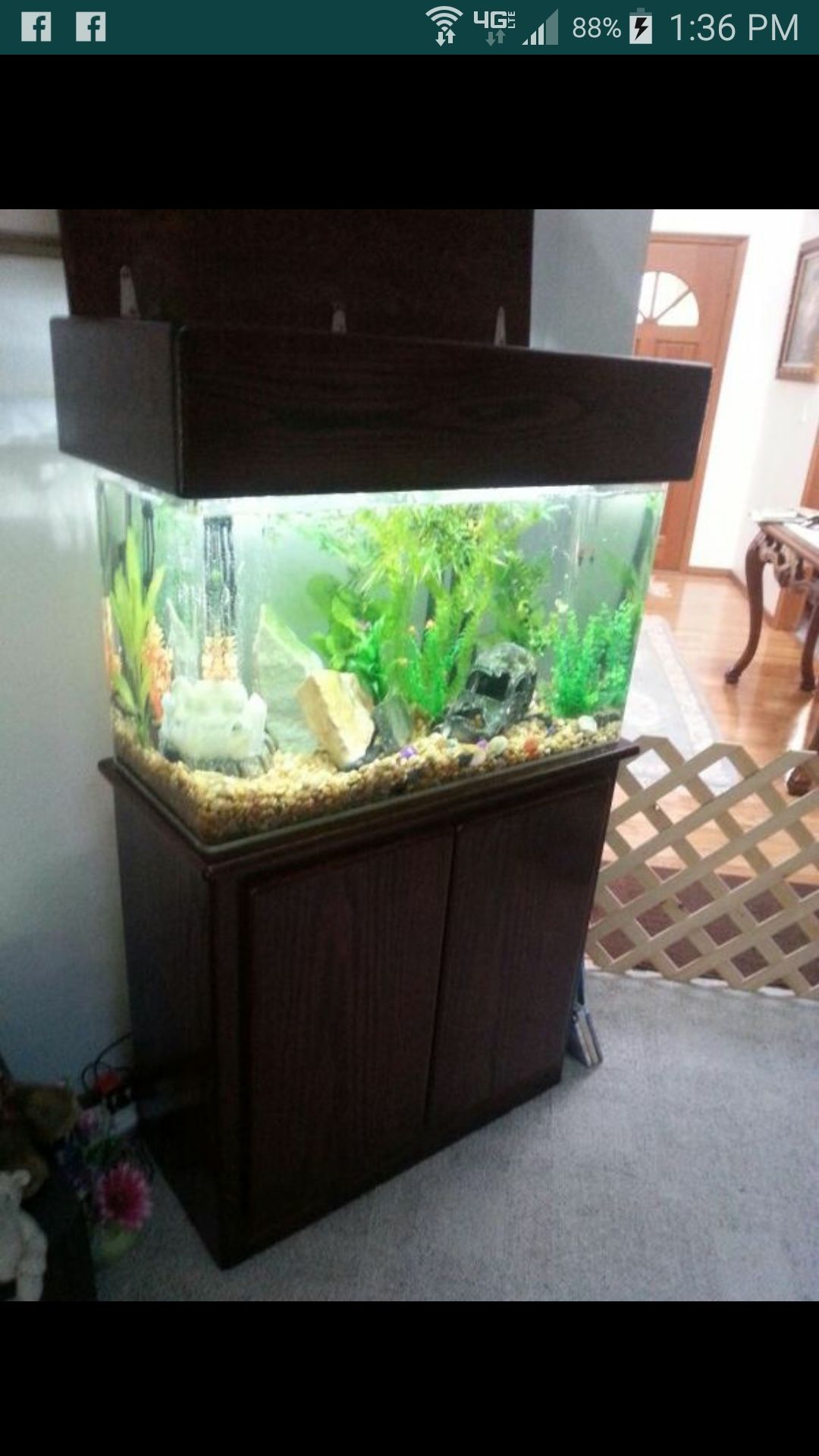 Acrylic and Oak base and Hood Fish Tank
