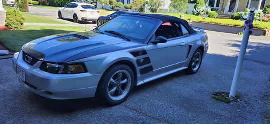 1999 Ford Mustang