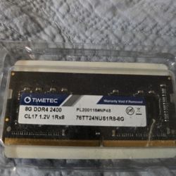 Timetec 8GB DDR4 2400MHz PC4-19200 Unbuffered Non-ECC 1.2V CL17 260 Pin SODIMM Laptop Notebook Computer Memory RAM  (8GB)