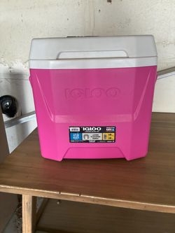Pink mini igloo cooler