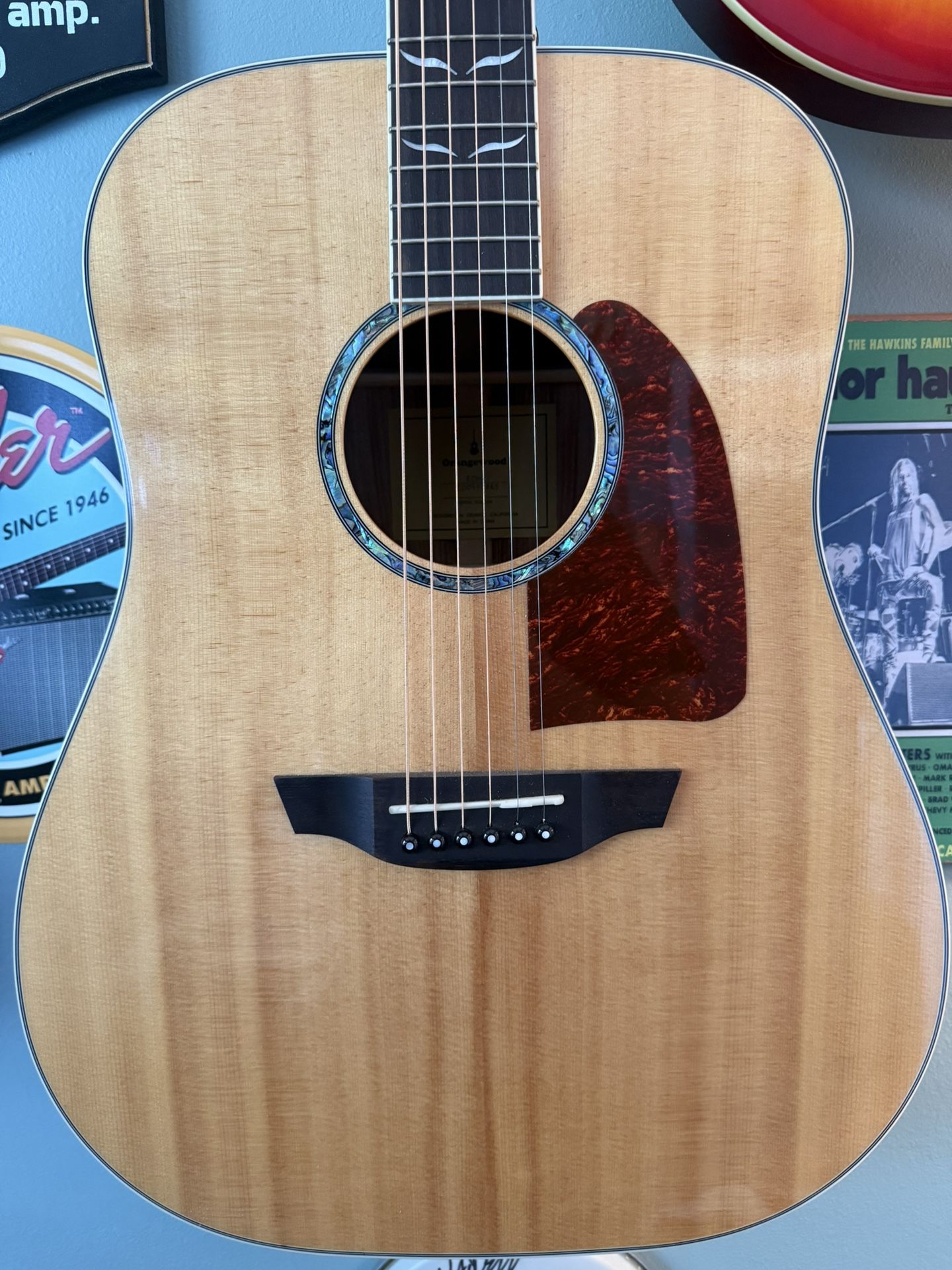 Orangewood echo Dreadnought Acoustic Guitar