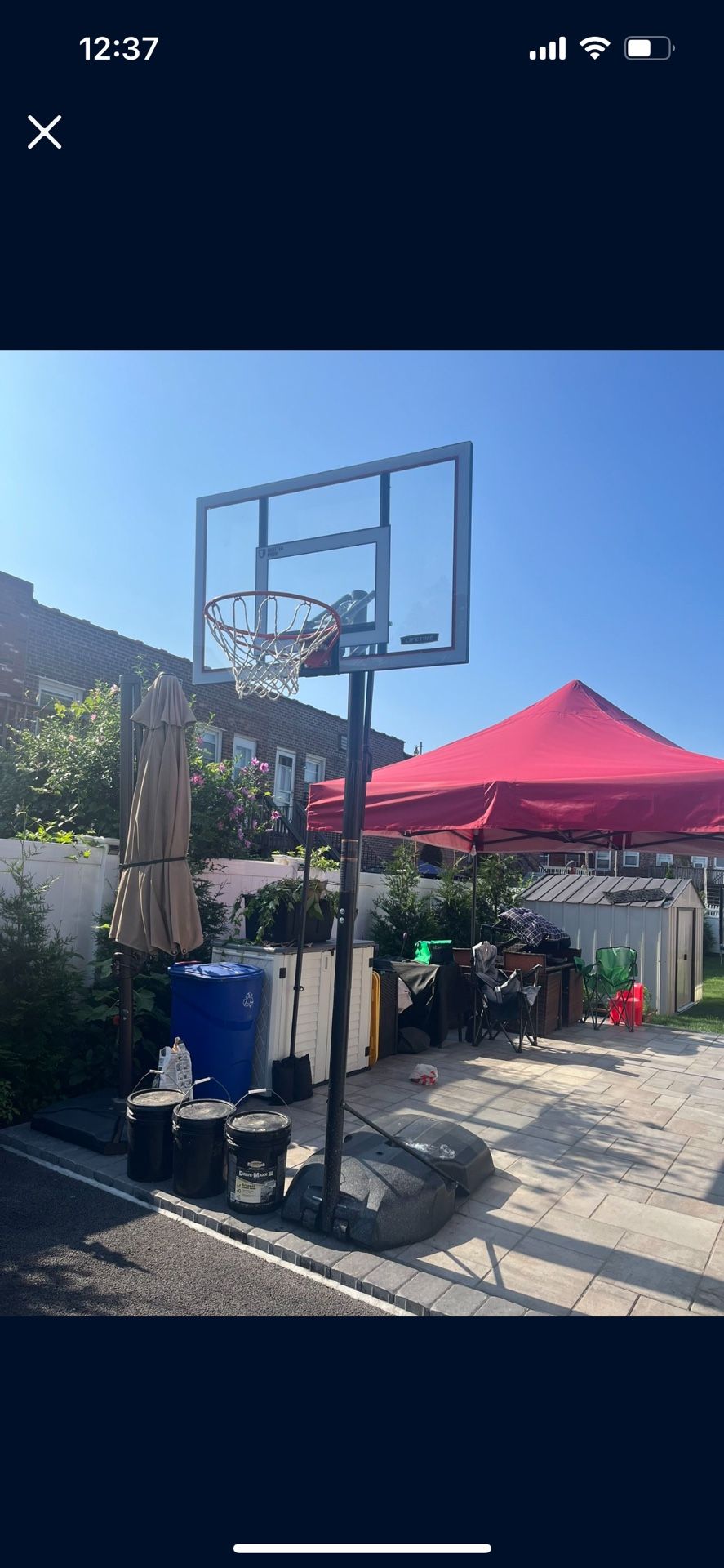 Lifetime Basketball Hoop