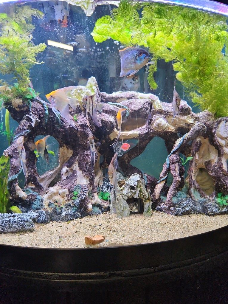 Aquarium Rock