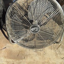 Fan