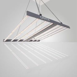 4 Gavita Pro 1700E LED grow lights