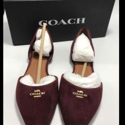 Brand New Coach Pointed Toe Size 7