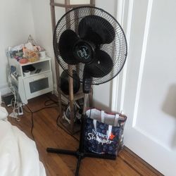 Standing Fan