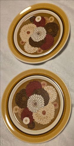 Franciscan Dinner plates– Set of 2 Zinnia Pattern