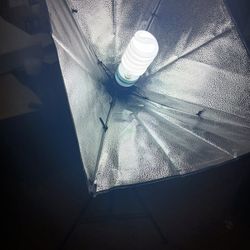 Softbox Lighting Kit (Skytex)