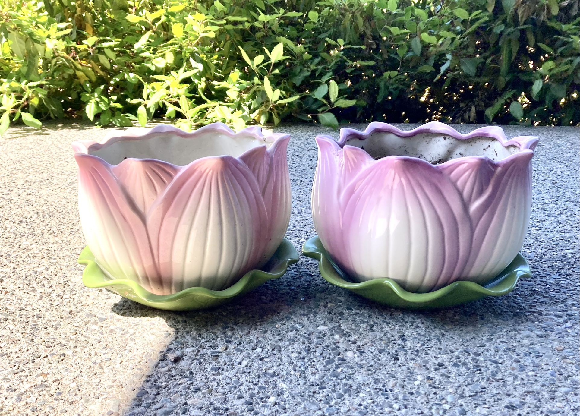 Pair of Gorgeous Matching Lotus Flower Pots