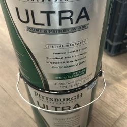 Paint And Primer In One (White )