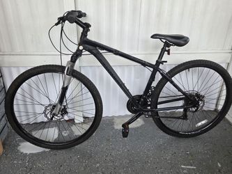 Schwinn bike, wheels 29