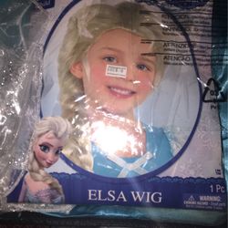 Elsa Dress For Party Or Costume