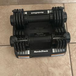 Nordic track adjustable weights