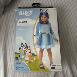 Bluey Costume