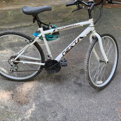 Next Parowan Men’s Bike 26 Inch 