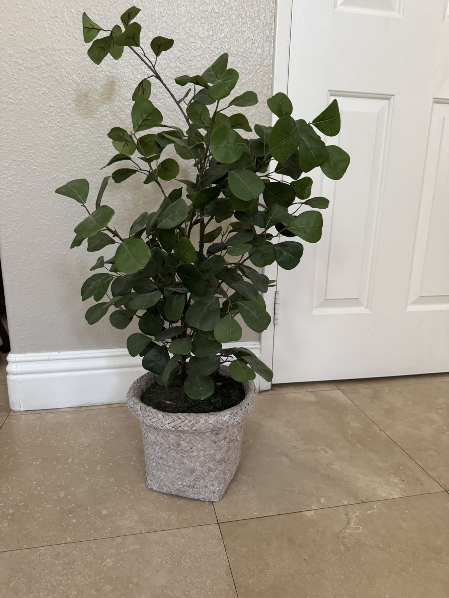 Fake Plant 3’ Tall