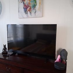 45 Inch Insigna Tv 