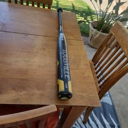 Softball Bat 