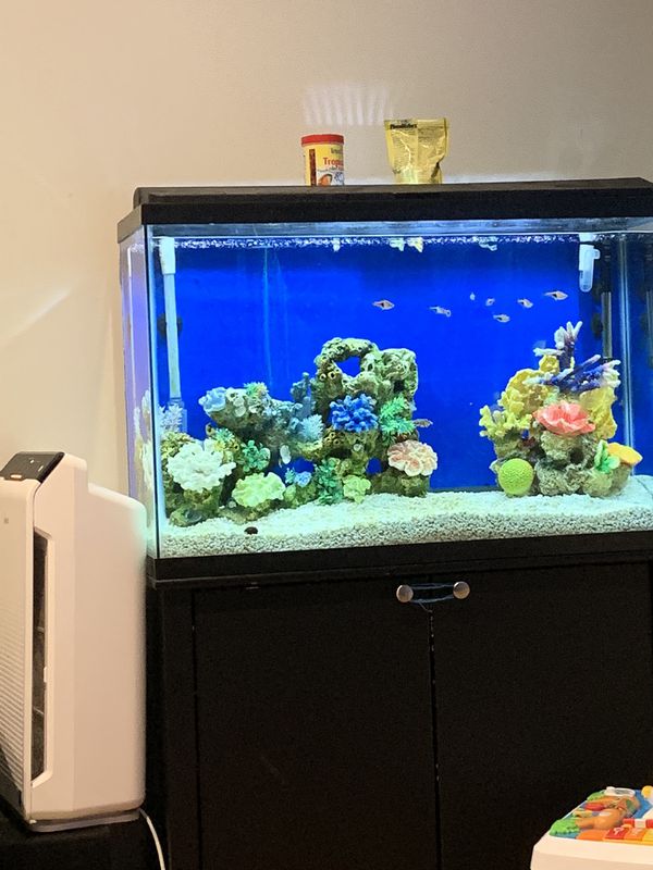 45 gallon aquarium / fish tank for Sale in Morton Grove