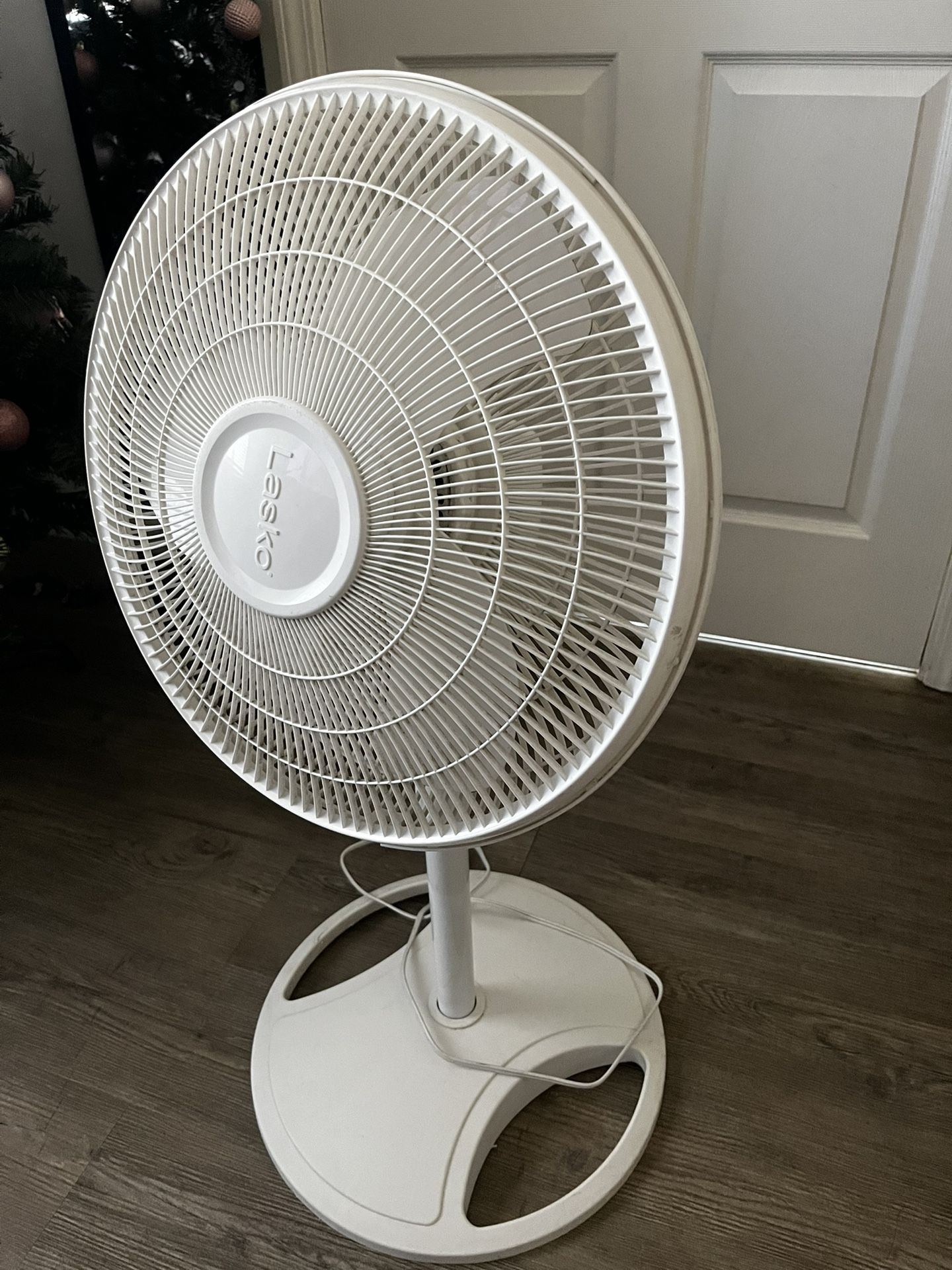 Fan
