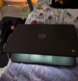 Dell & Samsung Chromebook