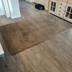 Area Rug
