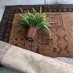 Area Rug , Artificial Plant ,12feet Christmas Tree .