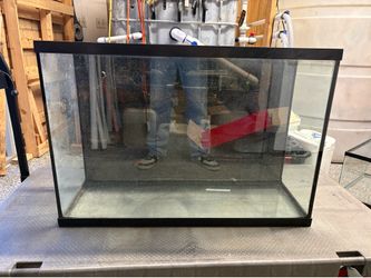 40 gallon aquarium