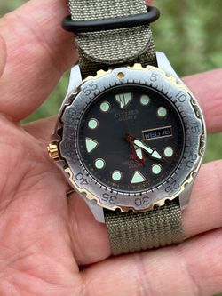Citizen promaster diver