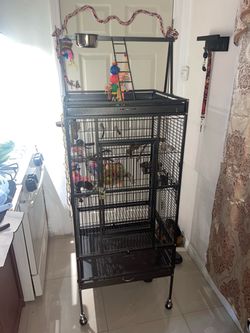 Large Black Bird Cage with Play Top
