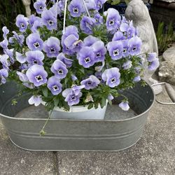 Oblong Galvanized Tub
