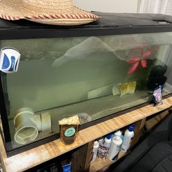 55 Gallon Tank