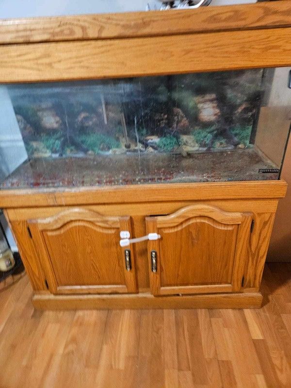 Acuarium 55
