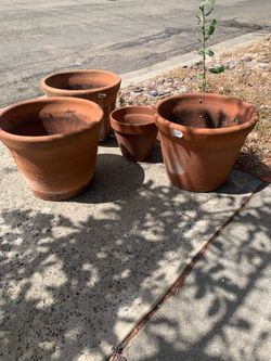Free $0Terra cotta pots