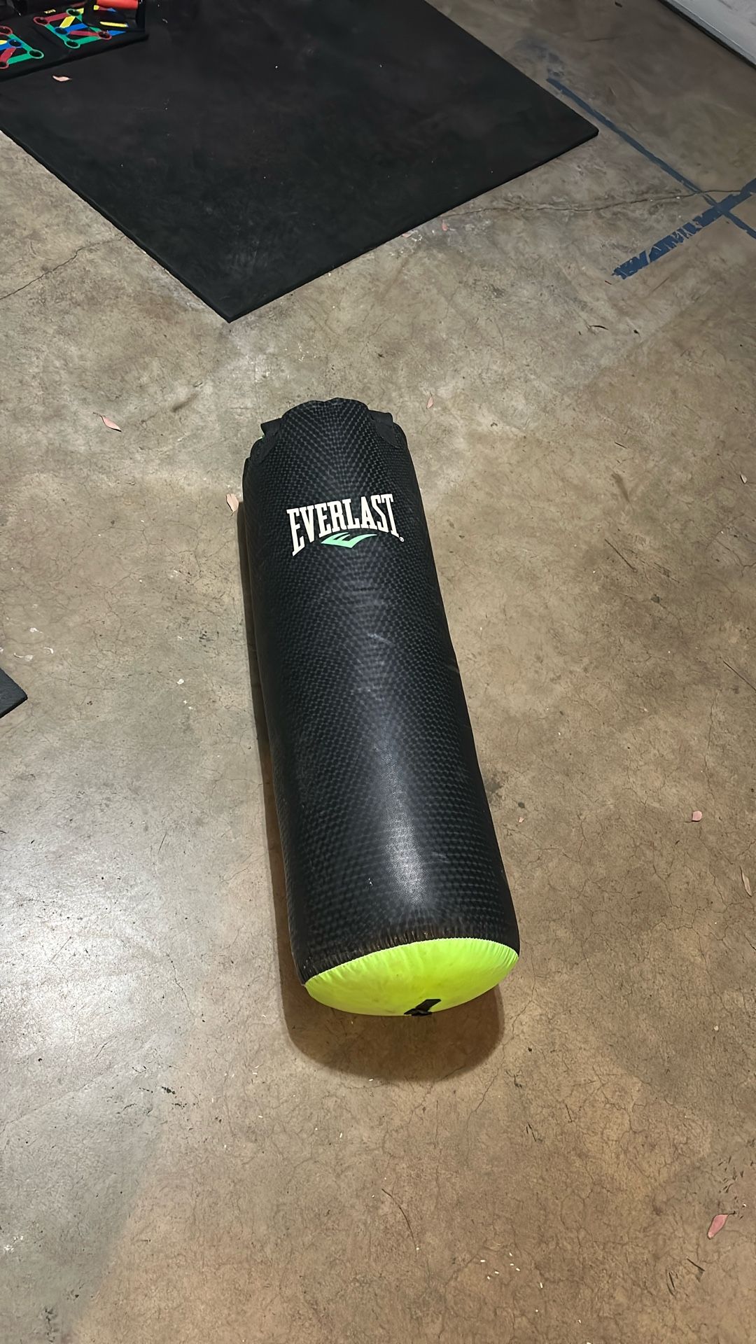 Everlast punching bag