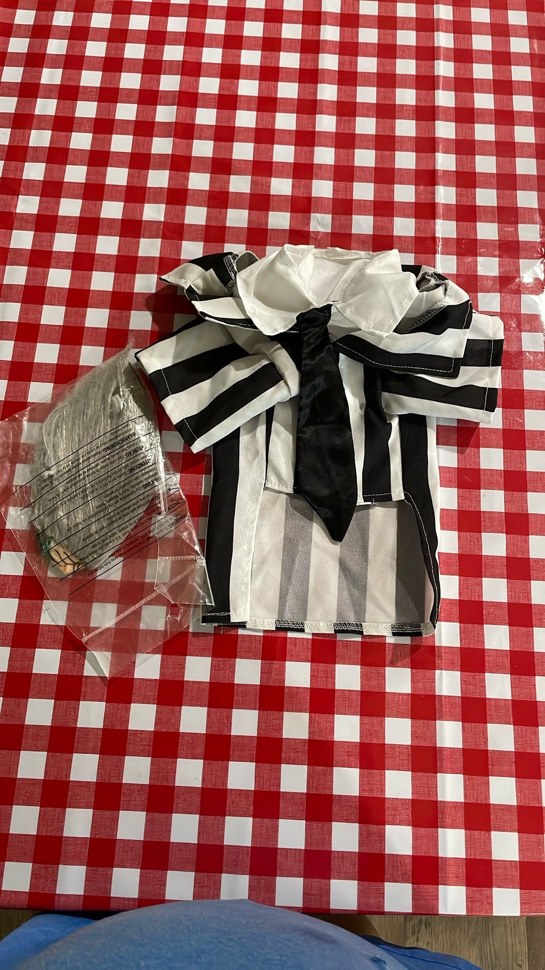 Beatle Juice Dog Costume 