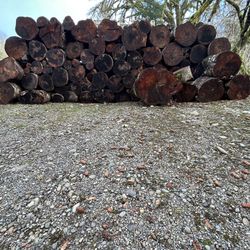 Alder Firewood Rounds -Make Offer