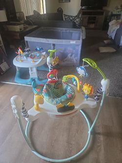 Fisher-Price Baby Jumperoo Activity Jumper