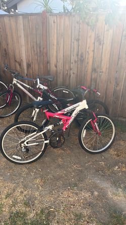 Bicicletas