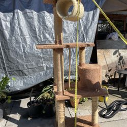 BEAUTIFUL PRESTIGE DELUXE KITTY 🐈‍⬛  🐱 