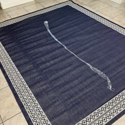 Outdoor area rug - new - 8x10 feet - D70