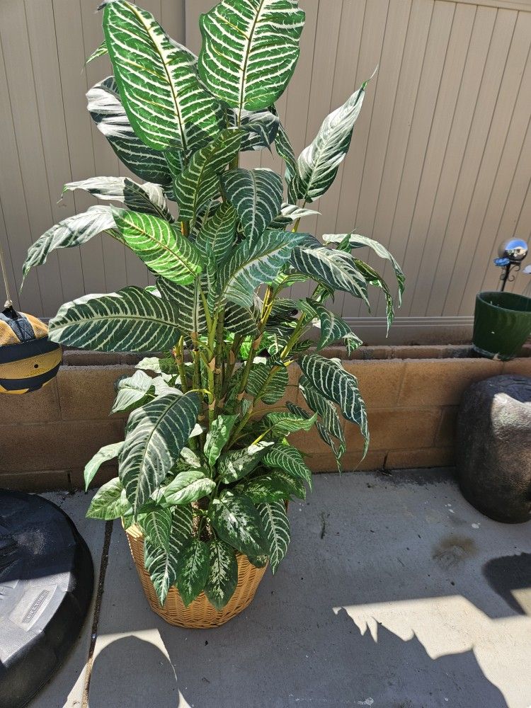 Indoor Artificial House Plant