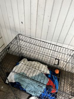 Dog Cage
