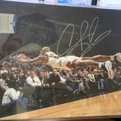 Dennis Rodman Signed Bulls 16x20