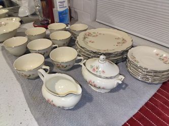 30 piece homer Laughlin Virginia rose