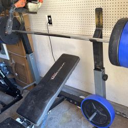 Weight Bench And Weights Include 