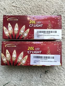 LIGHTSHARE Corn Shaped Light, Set of 20 LED Lights, Warm White for 2