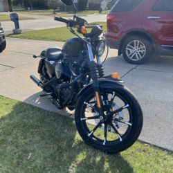 2019 Harley Davidson Iron 